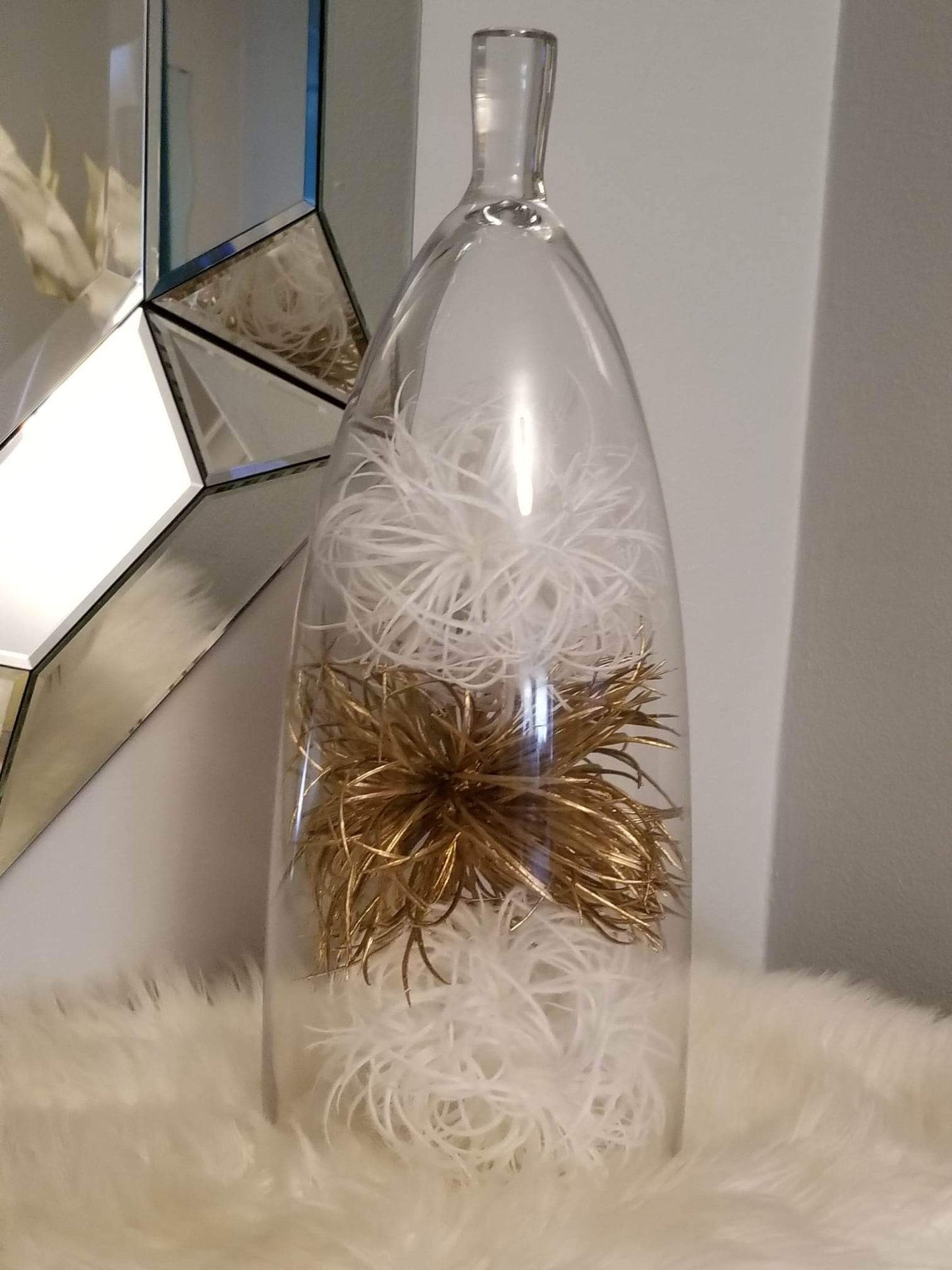 Tall Glass Cloche